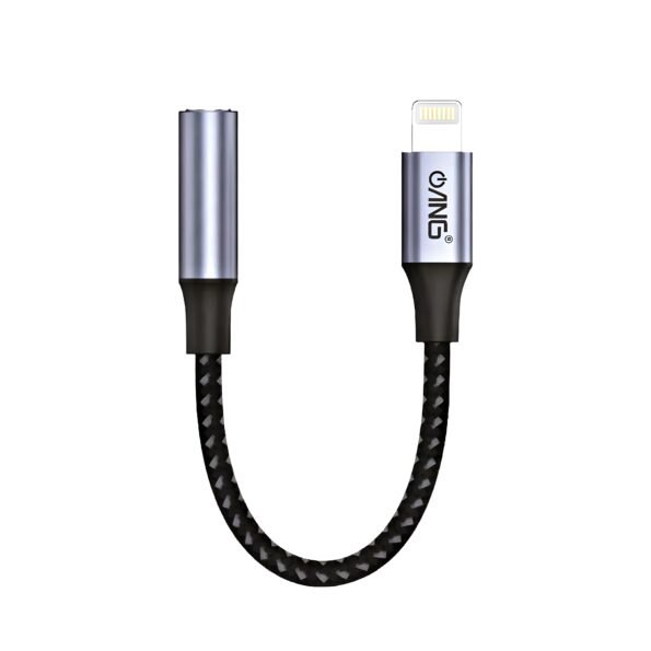 Lightning to AUX adapter