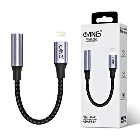 Lightning to AUX adapter